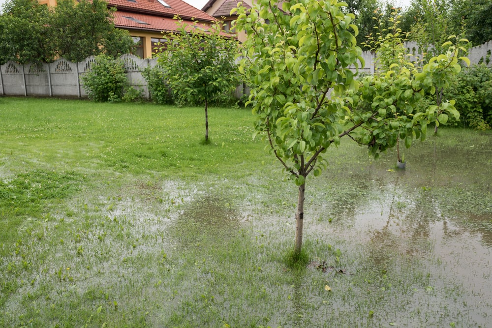 Dealing with Flooding Backyard Drainage Solutions That Work - landscape company metairie - bayou verde