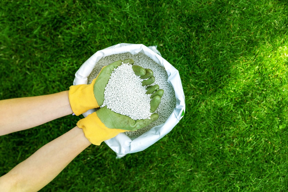 Spring Lawn Care Checklist for Louisiana Homeowners - landscape company new orleans - bayou verde