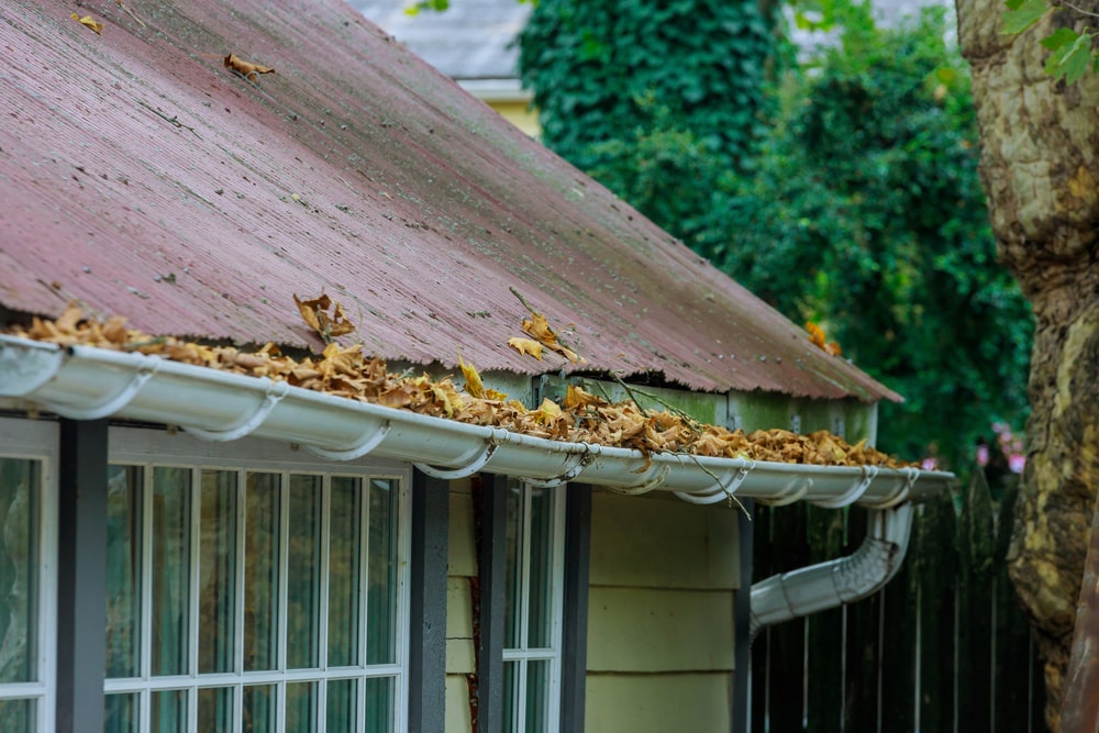The Importance of Seasonal Gutter Cleaning for Landscape Health - landscape company metairie - bayou verde