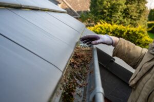 The Importance of Seasonal Gutter Cleaning for Landscape Health - landscape company metairie - bayou verde