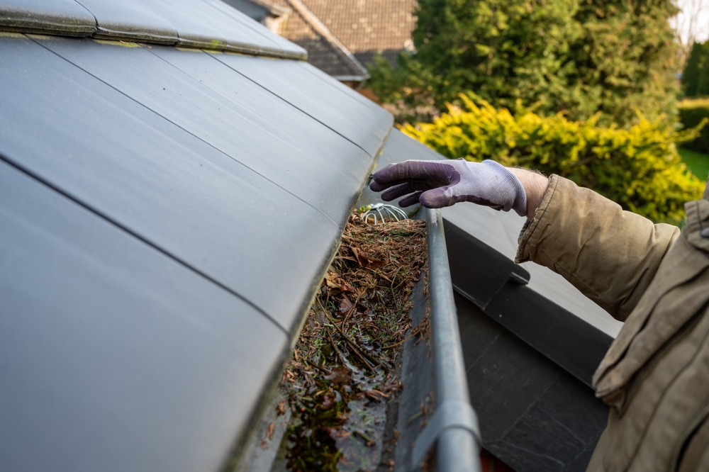 The Importance of Seasonal Gutter Cleaning for Landscape Health - landscape company metairie - bayou verde