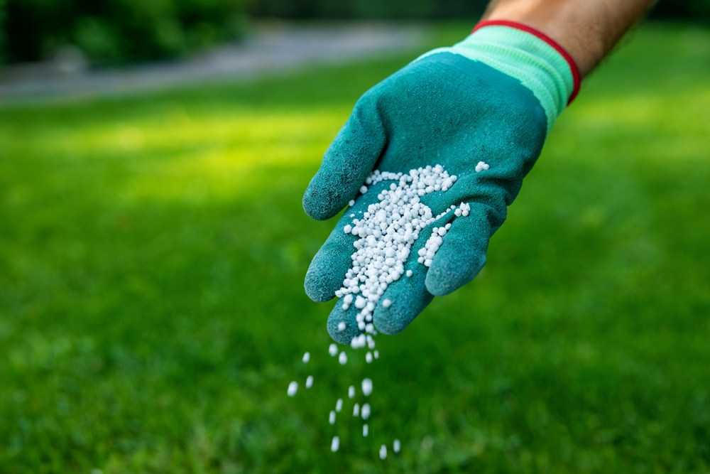 Spring Landscape Cleanup Tips for Metairie Homeowners - landscape company metairie - bayou verde