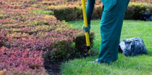 Spring Landscape Cleanup Tips for Metairie Homeowners - landscape company metairie - bayou verde