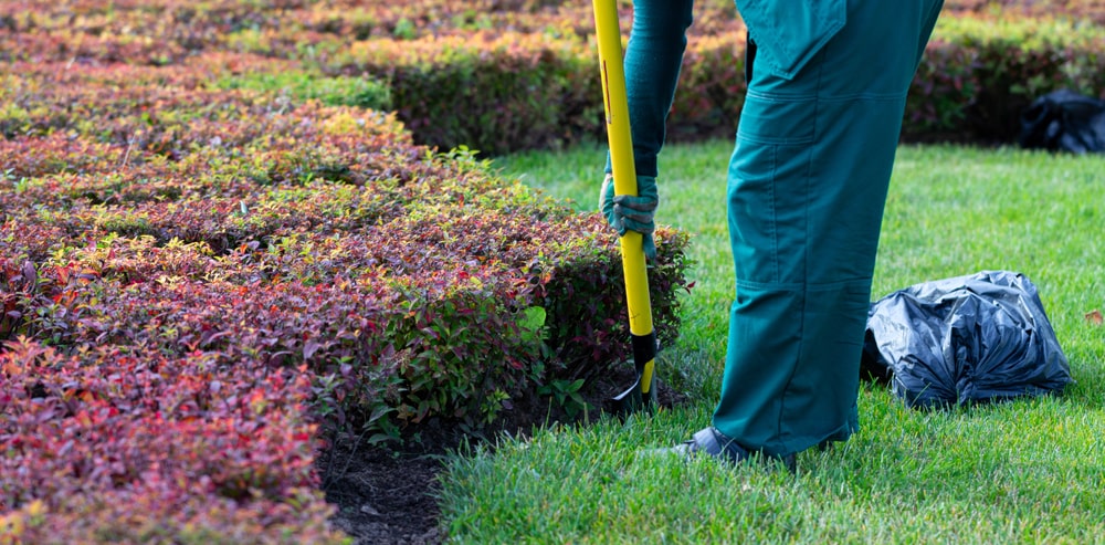 Spring Landscape Cleanup Tips for Metairie Homeowners - landscape company metairie - bayou verde