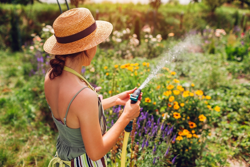 Top Native Plants to Refresh Your Landscaping in Metairie - landscape company metairie - bayou verde