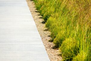 Drought-Tolerant-Landscaping-Ideas-for-the-Gulf-Coast-landscape-company-metairie