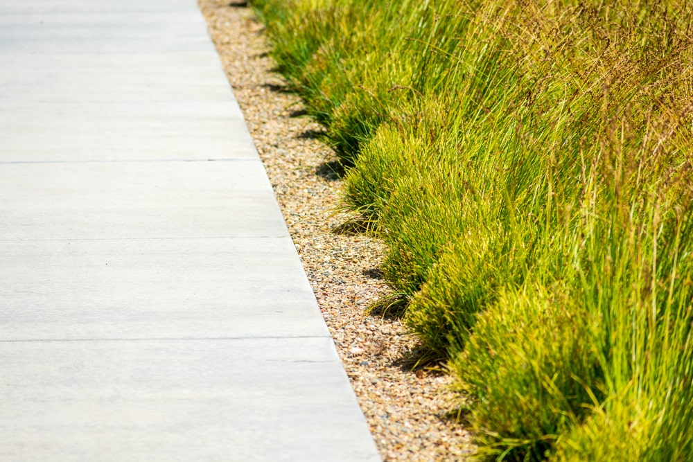 Drought-Tolerant-Landscaping-Ideas-for-the-Gulf-Coast-landscape-company-metairie