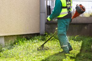 July Lawn Care Tips for a Healthy, Green Yard All Summer - landscape company metairie - bayou verde