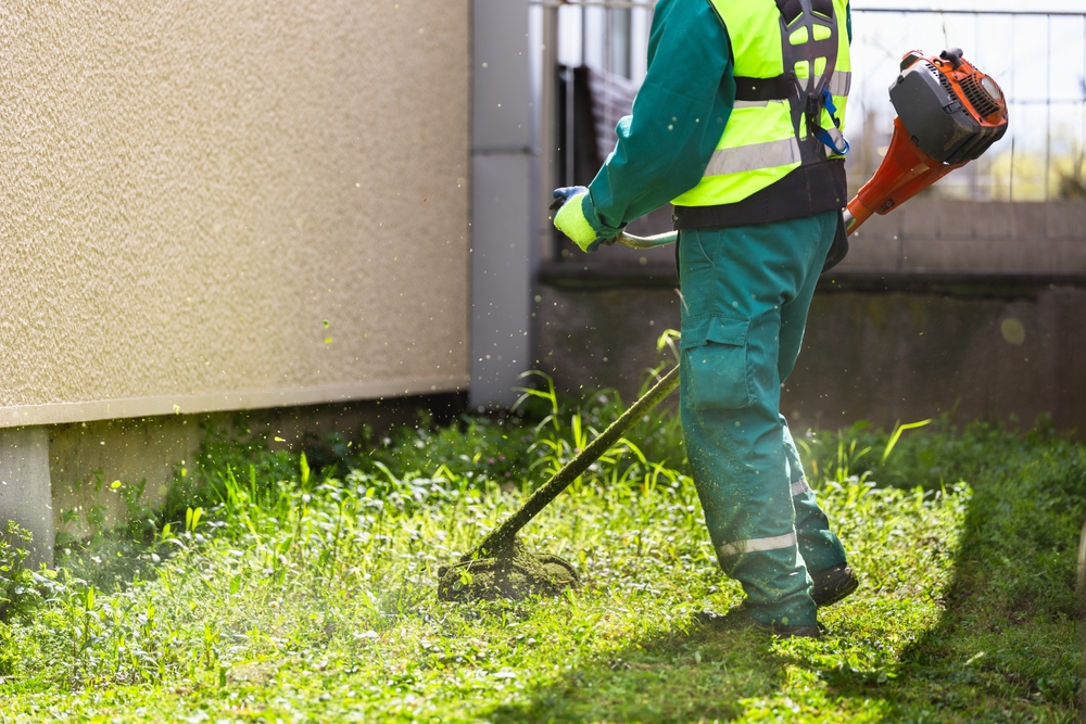 July Lawn Care Tips for a Healthy, Green Yard All Summer - landscape company metairie - bayou verde
