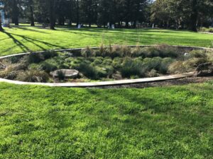 Rain Gardens A Smart Way to Handle Summer Stormwater - landscape company metairie