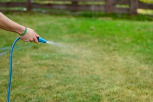 Avoid These 5 Landscaping Mistakes During Louisiana Summers - landscape company metairie - bayou verde