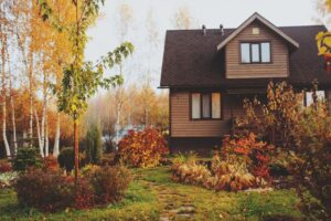 Designing a Landscape That Thrives Through Louisiana’s Cooler Months - landscape company metairie - bayou verde