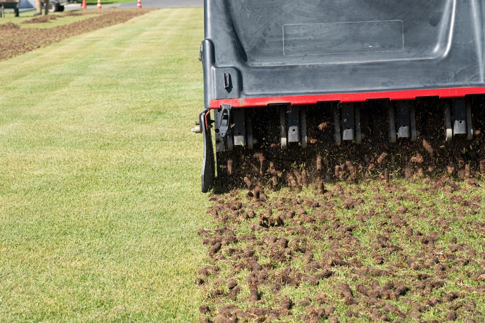 September Lawn Care Tips to Keep Your Grass Healthy This Fall - landscape company metairie - bayou verde