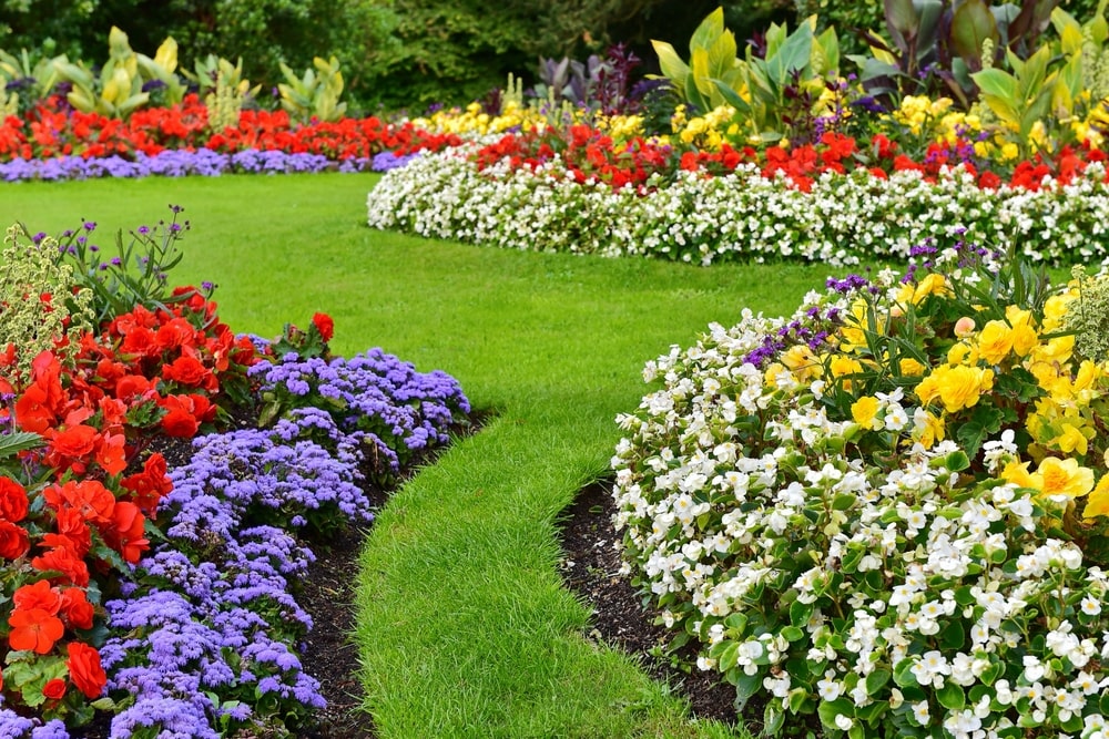 landscape design louisiana - metairie - new orleans - bayou verde