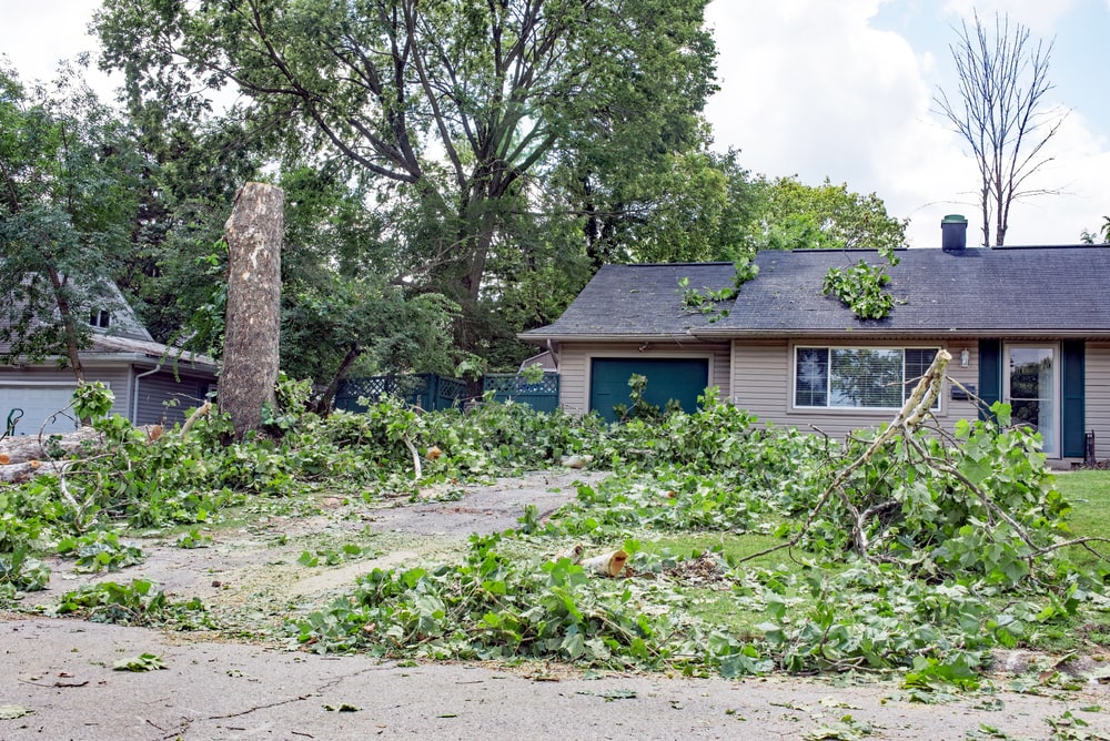 landscape storm damage cleanup louisiana - new orleans - metairie - bayou verde