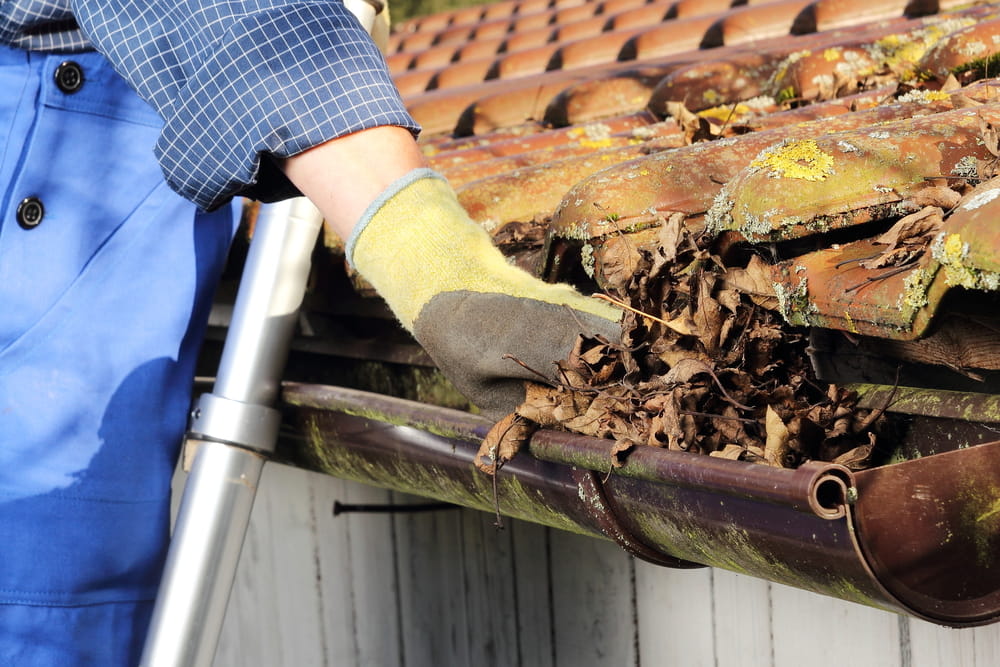 gutter leaf removal metairie - bayou verde
