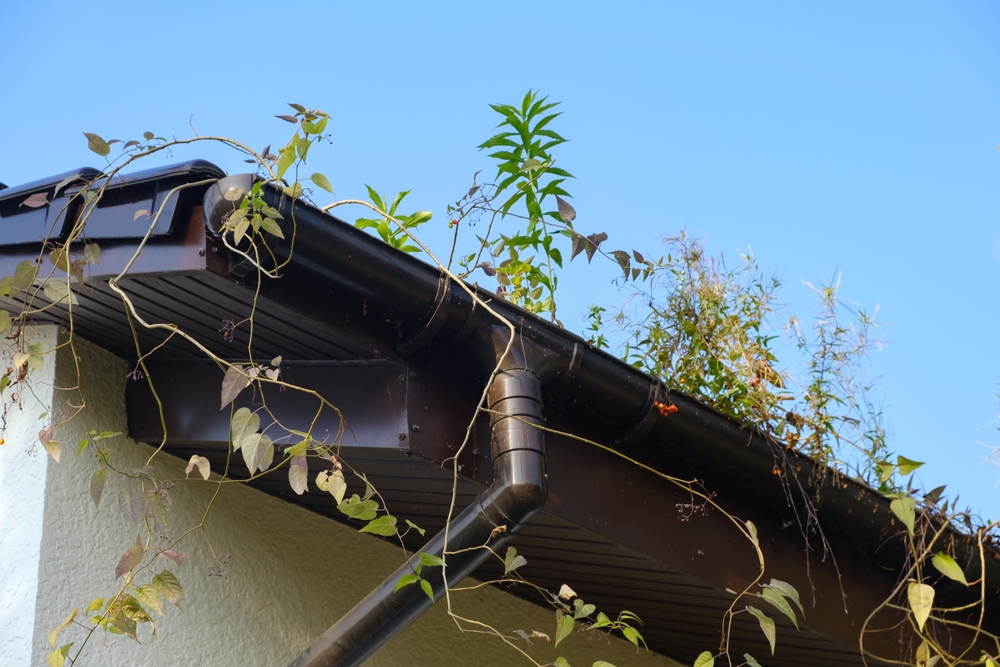 season gutter cleaning metairie - bayou verde
